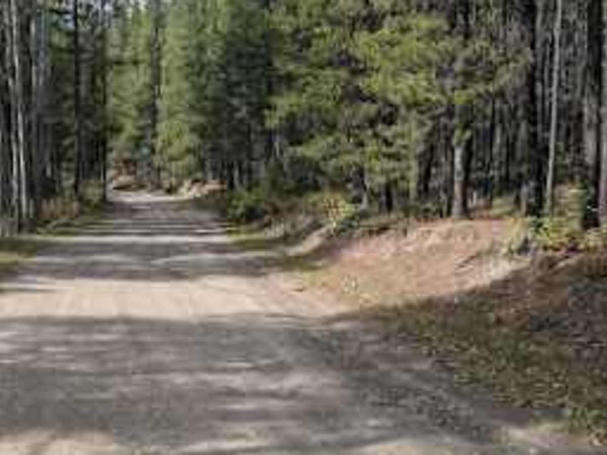 Dutch Creek Road  photo 5