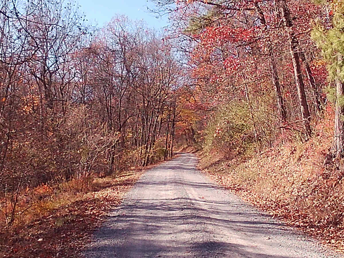 Coopers Gap Road photo 5