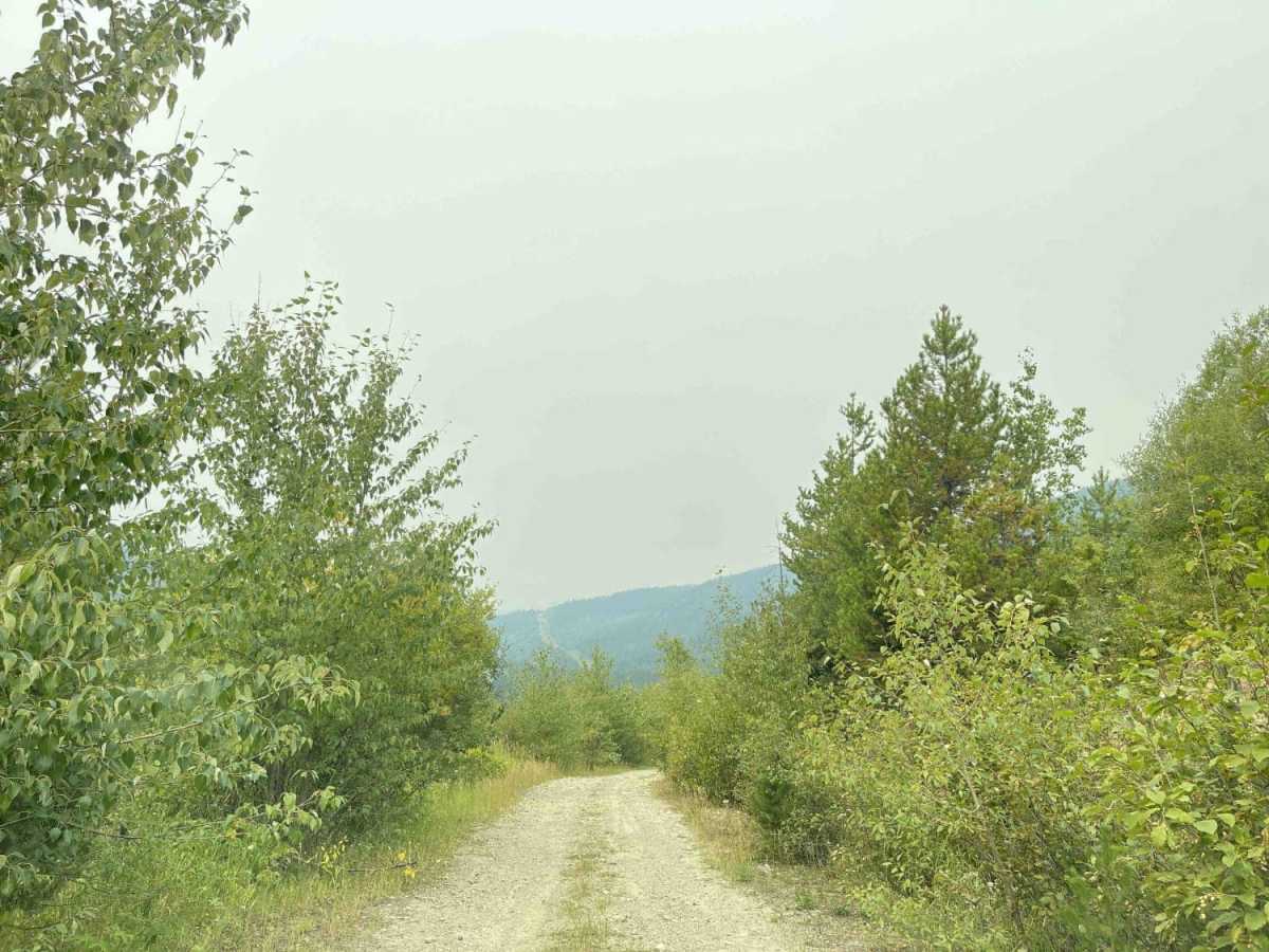 Eureka Road photo 4