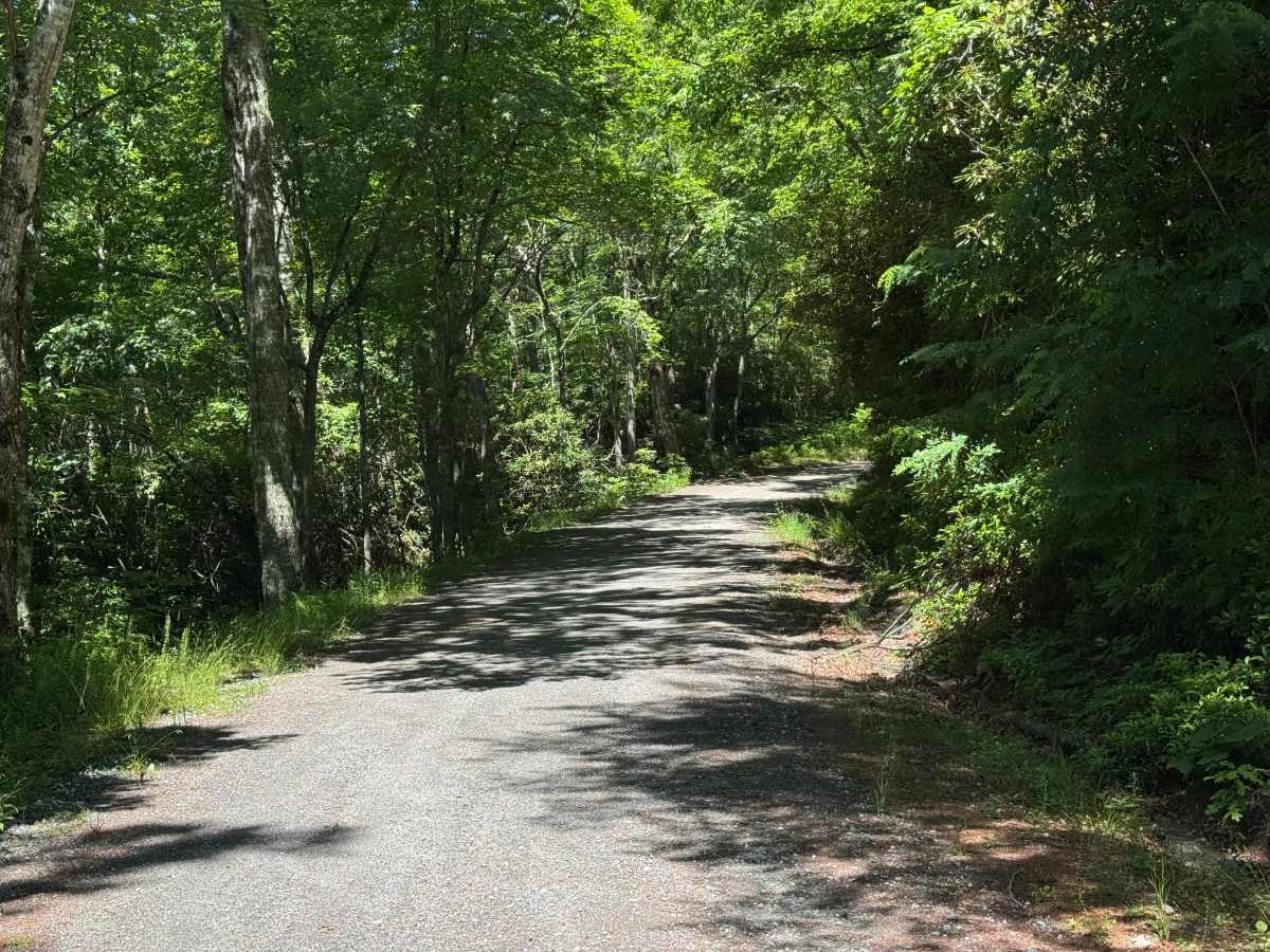 Rock Bridge Road - SR 1140 photo 5