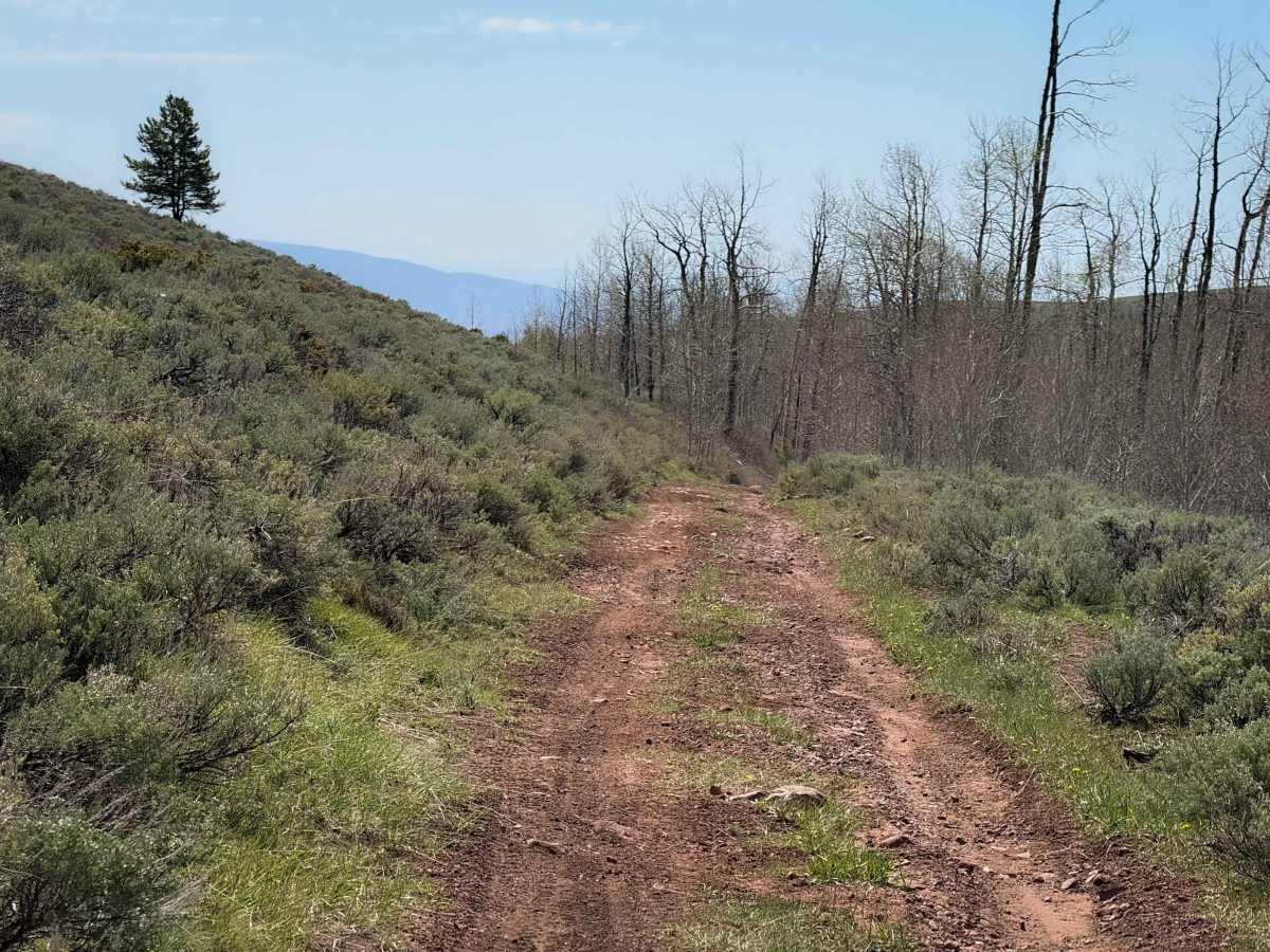 Kabell Hollow #551  photo 3