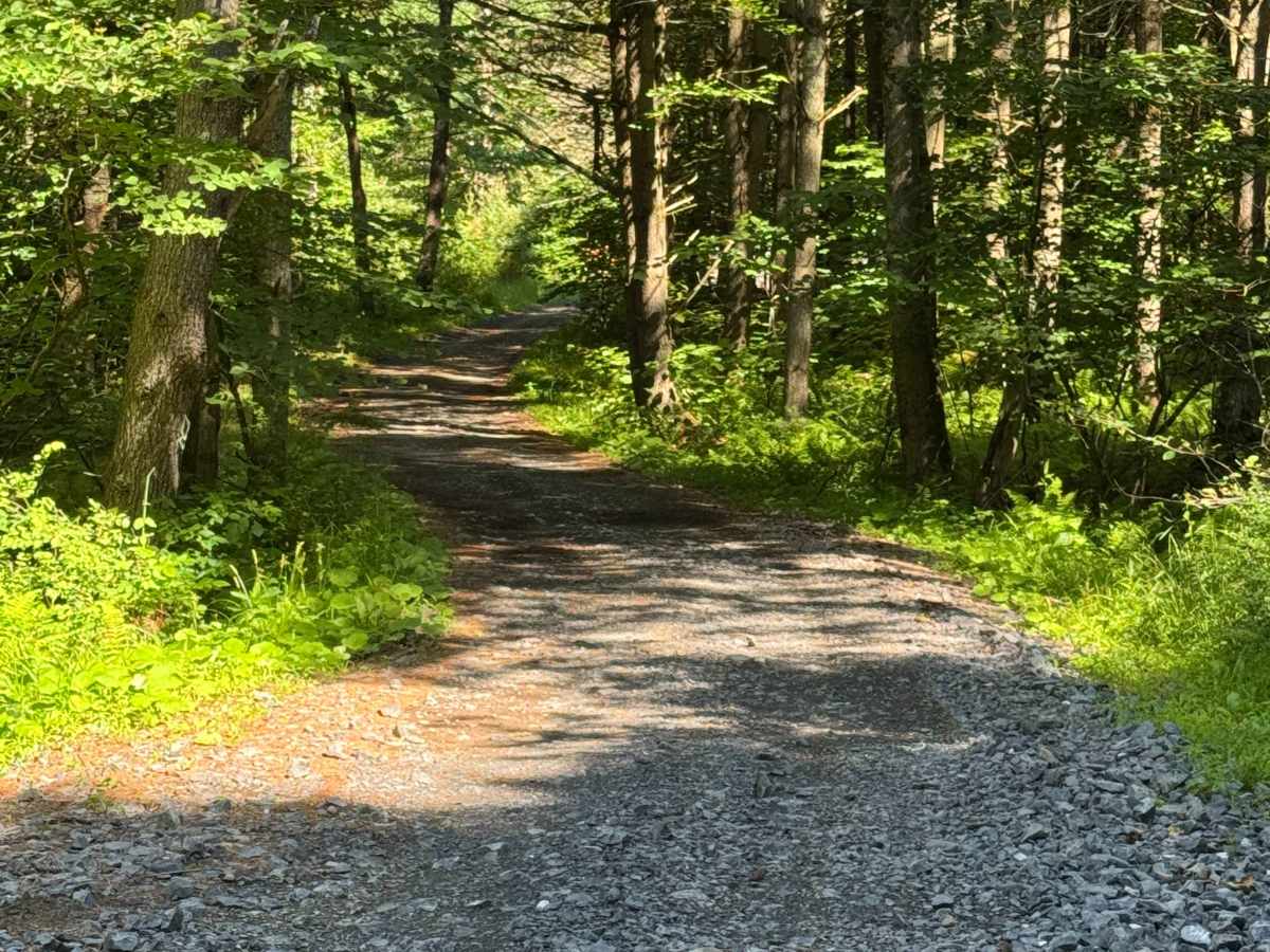 Play Pit Trail photo 4