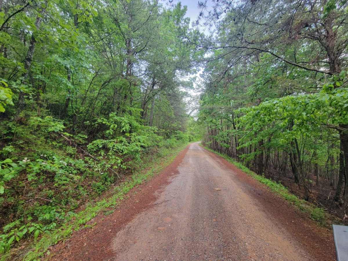 Chilhowee Ridge (Oswald-77) photo 2