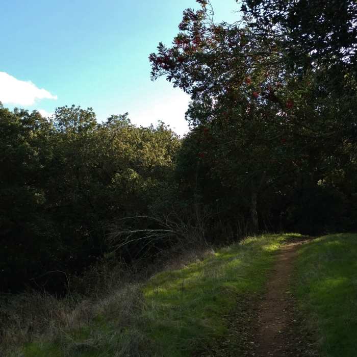 Near Bay Area Ridge Trail: Almaden Quicksilver County Park