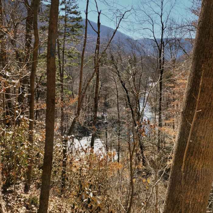 View of Green River Near Green River Game Lands Loop #2