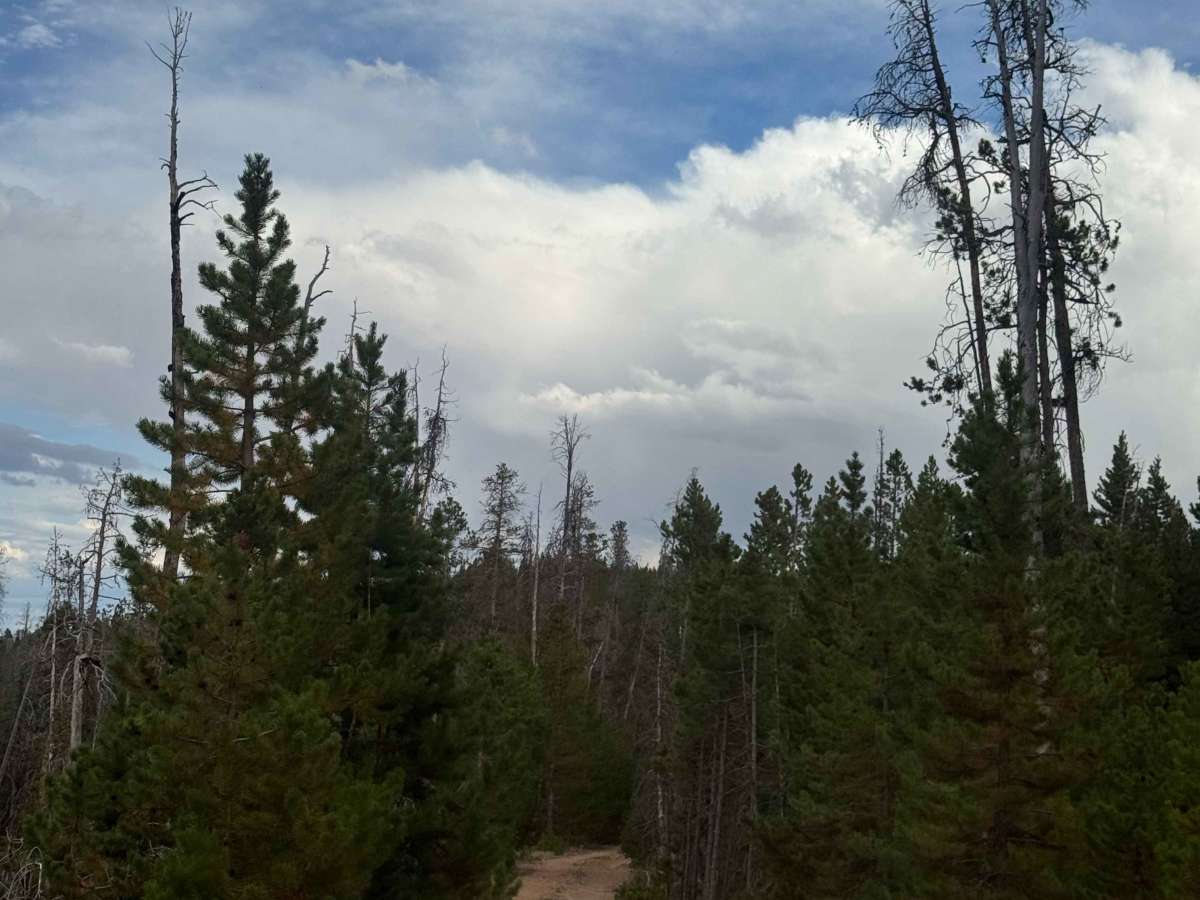 Bear Spur photo 2