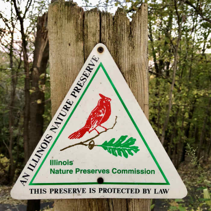 Near Pimiteoui Trail