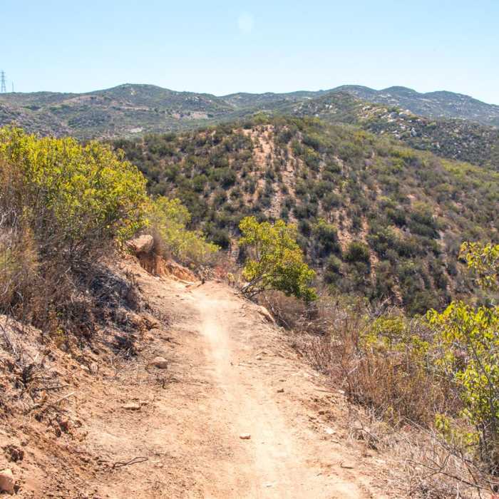 Near Martha's Grove Trail Loop