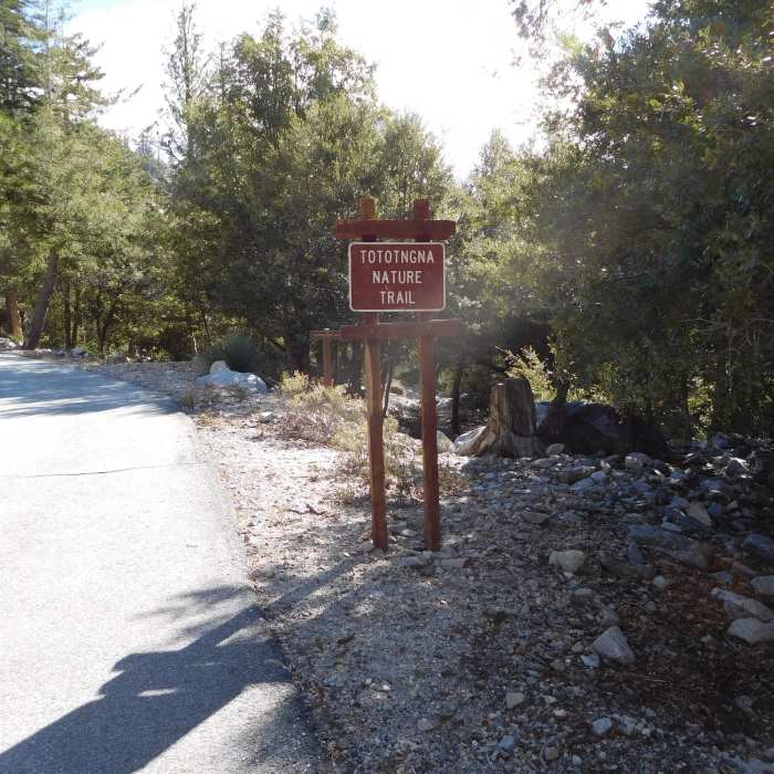 Near Tototngna Nature Trail #9W31