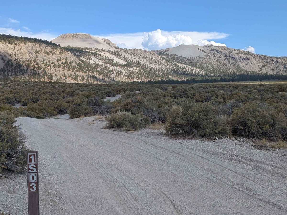 Crater Mountain Flats - FS 1S03 trail photo