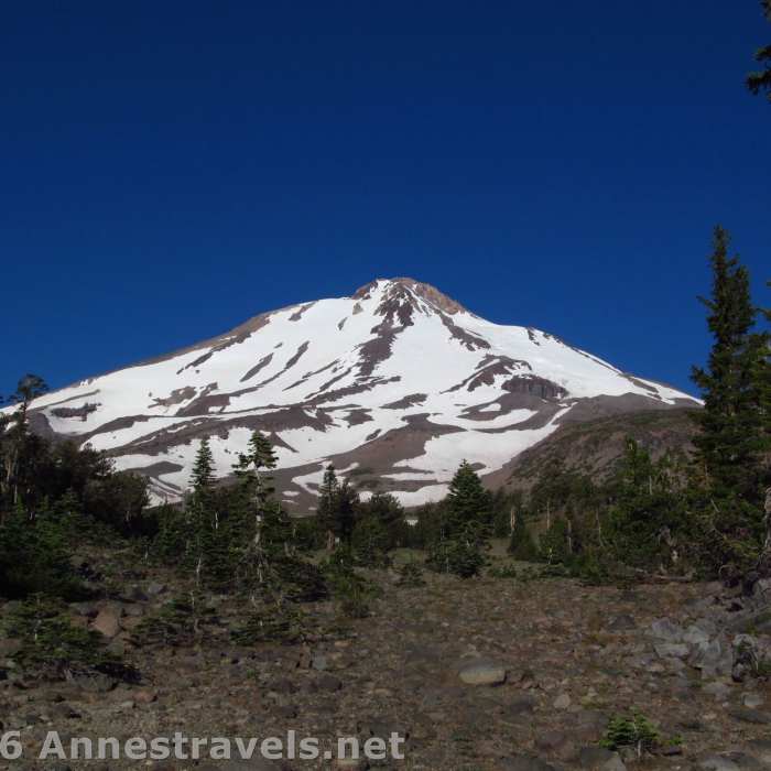 Near Brewer Creek Trail