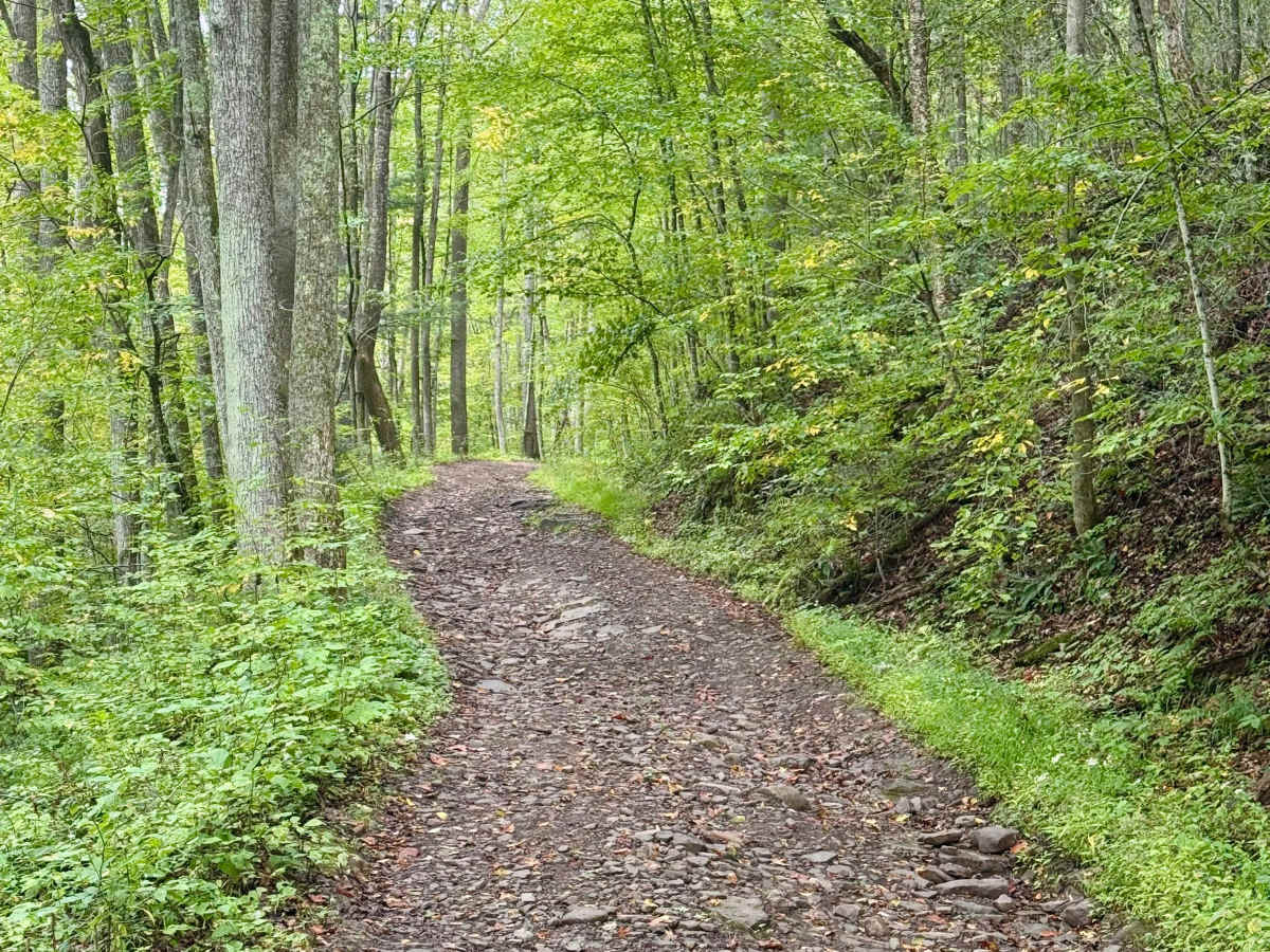 Mix Run Road photo 6