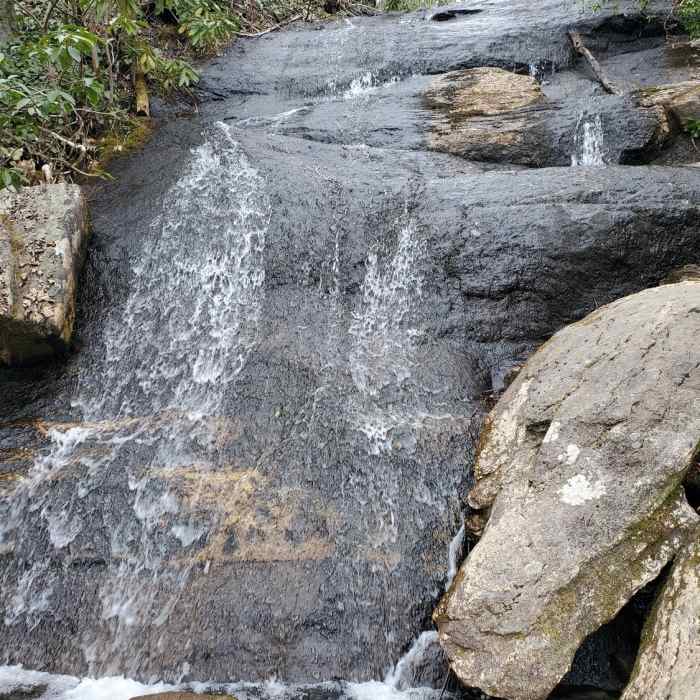Near Graybeard Trail