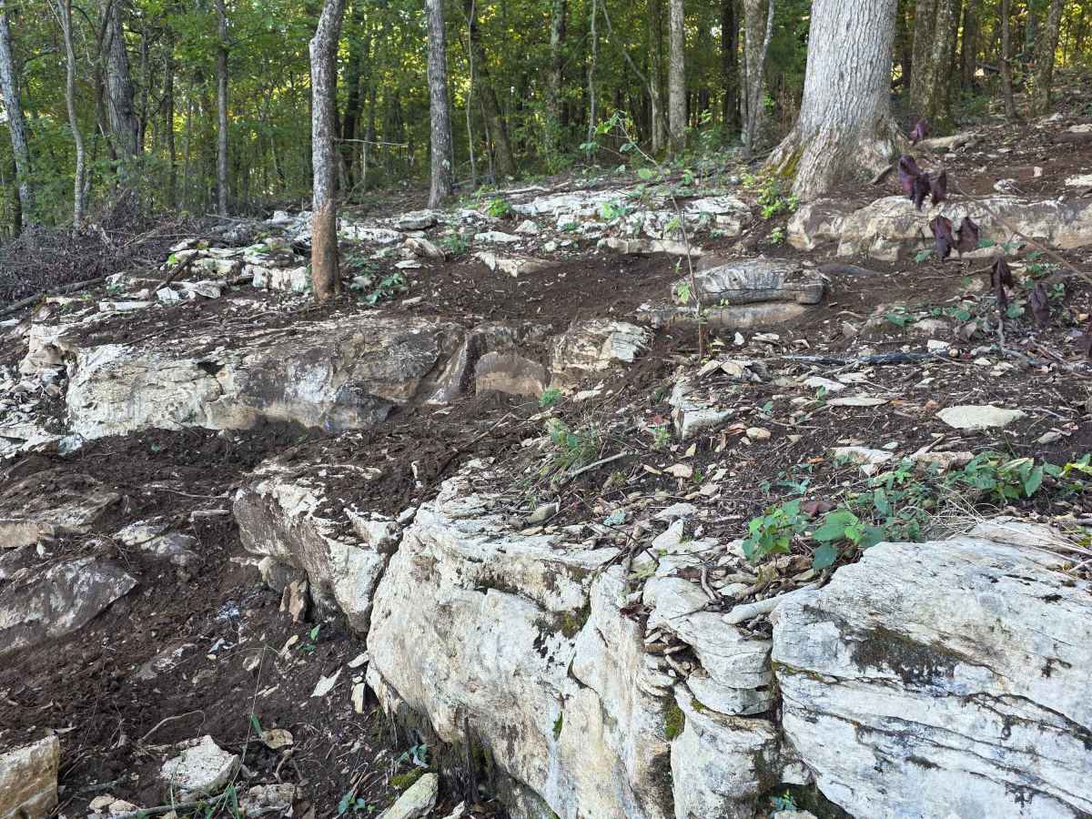 Can-am photo 4