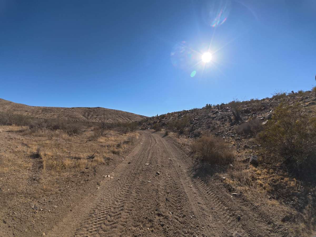BLM SV2627 photo 6