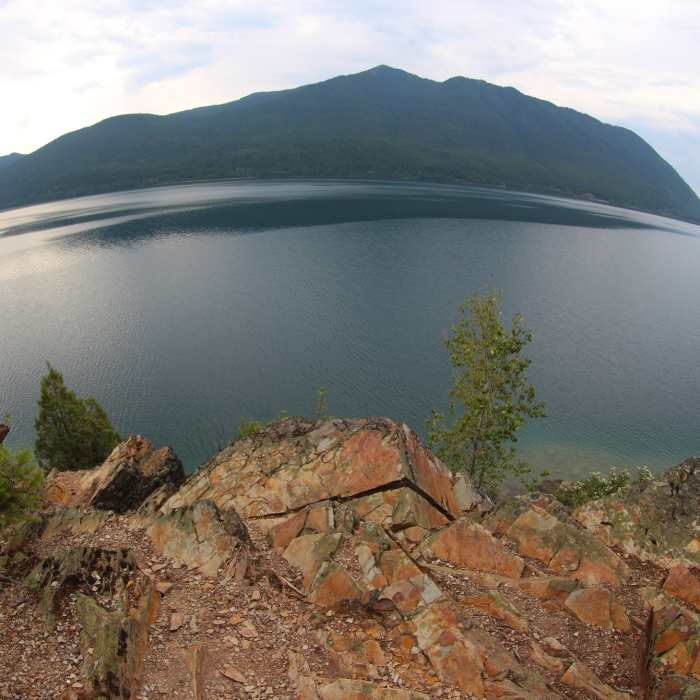 Near Lake McDonald Trail