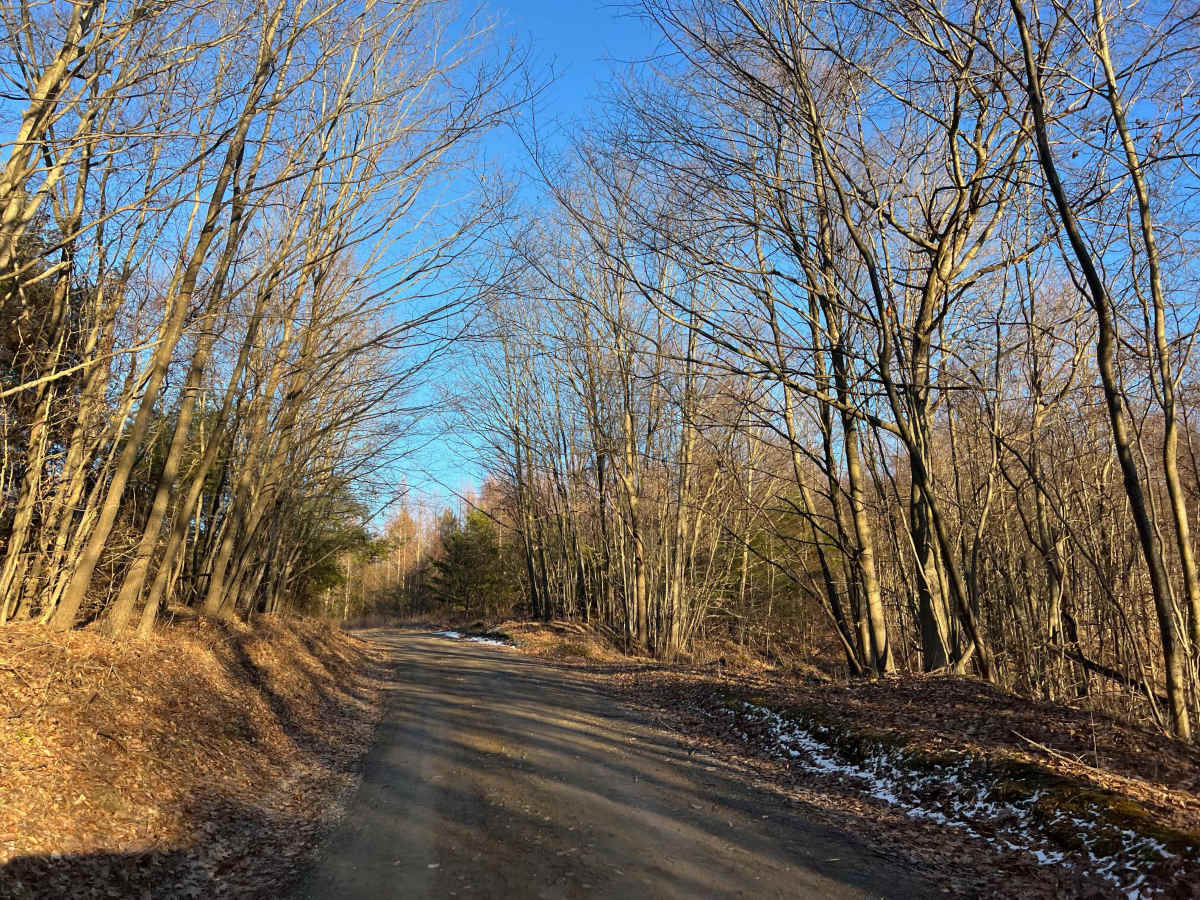 Buskirk Road photo 4