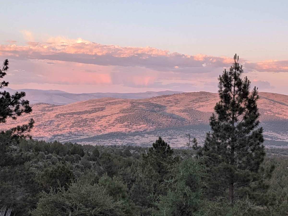Mount Lively South Fork Mountain Road photo 3