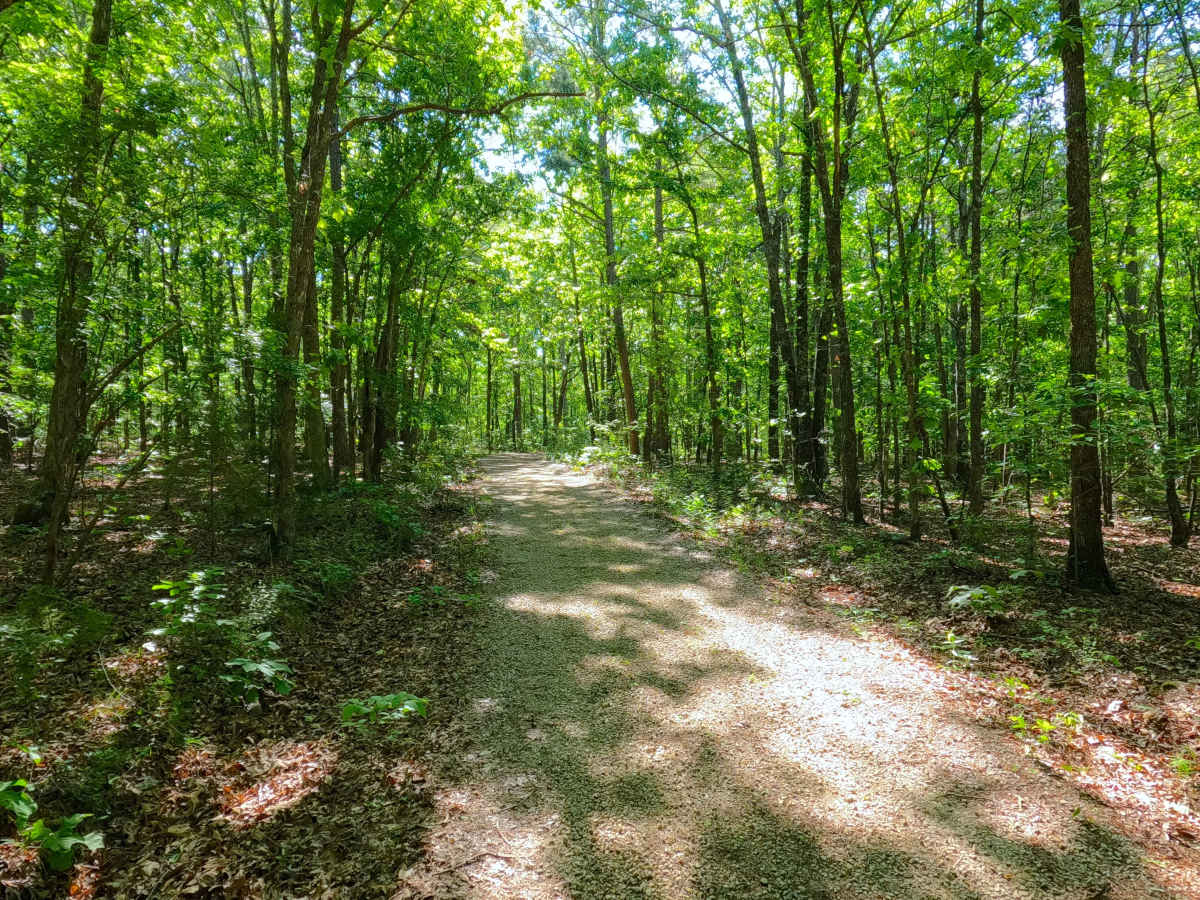 Harmon Ridge - FS 3712 photo 4