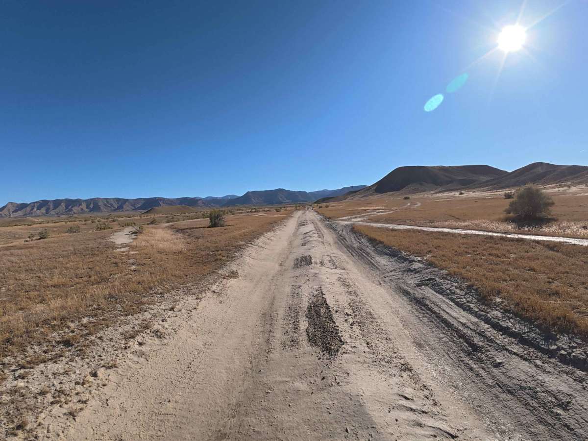 BLM 191 photo 6