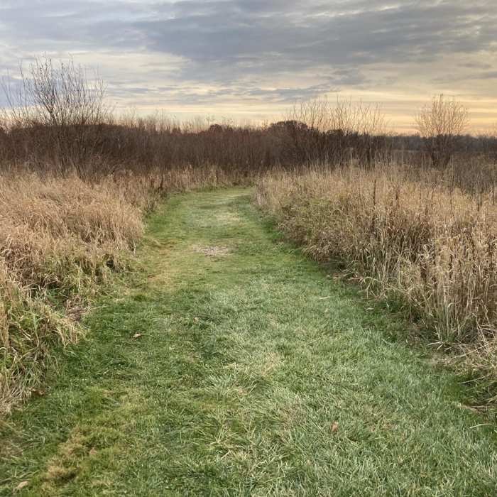 Near Elizabeth Lake Nature Preserve Loop