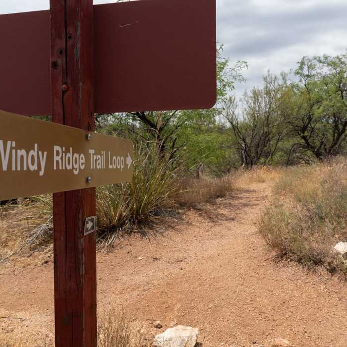 Near Windy Ridge Trail