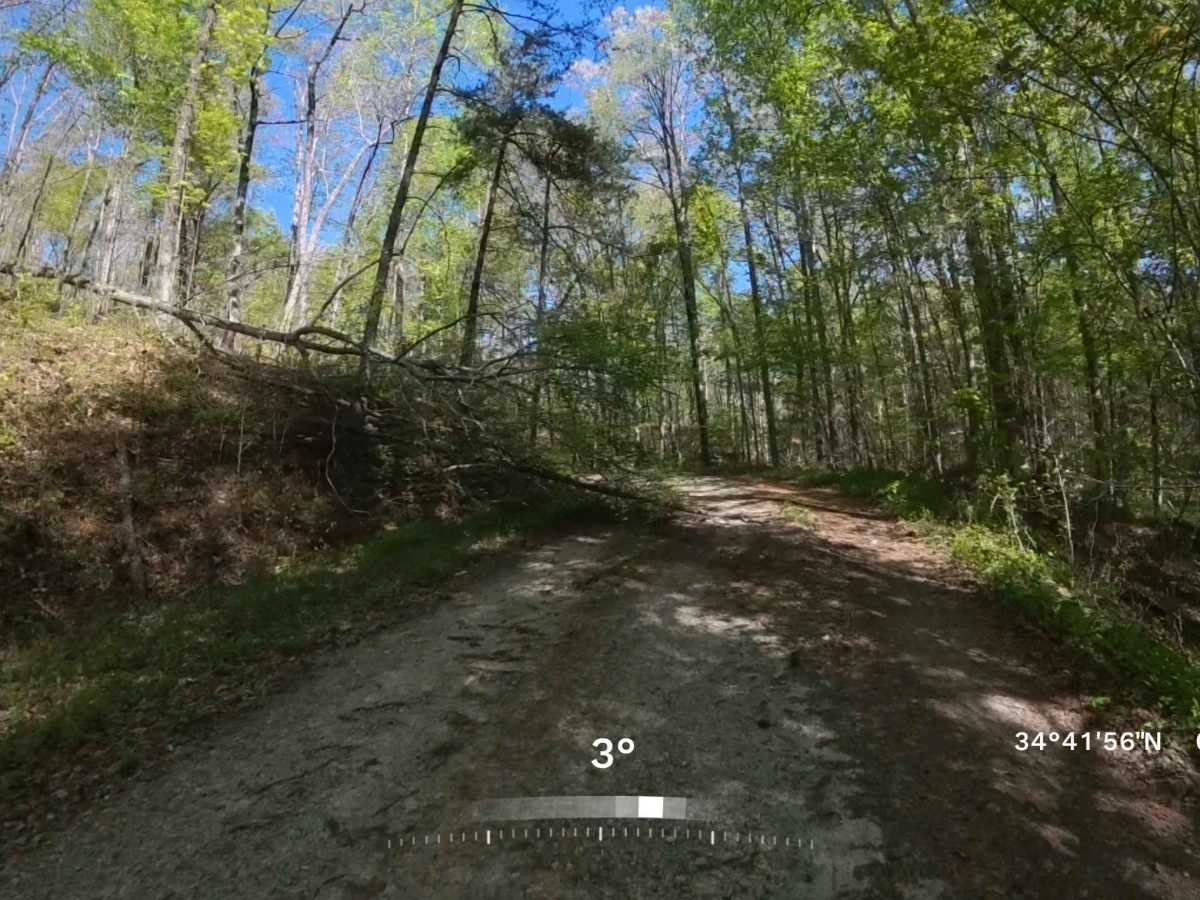 Forest Road 752B photo 4