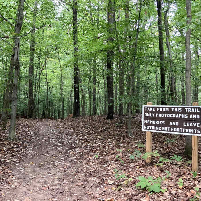 Near Cabin Branch - Hard Rock Loop