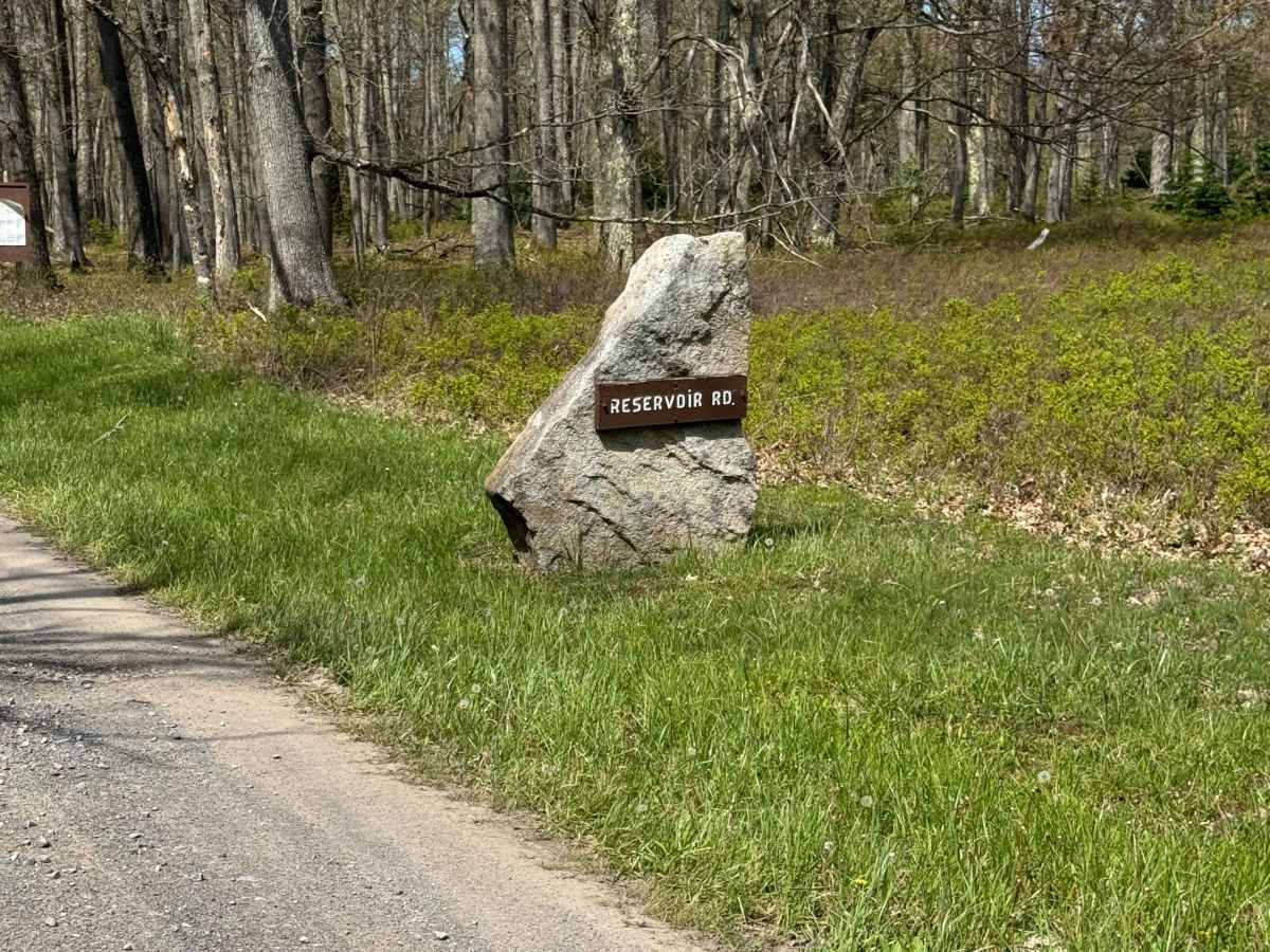 Reservoir Road trail photo