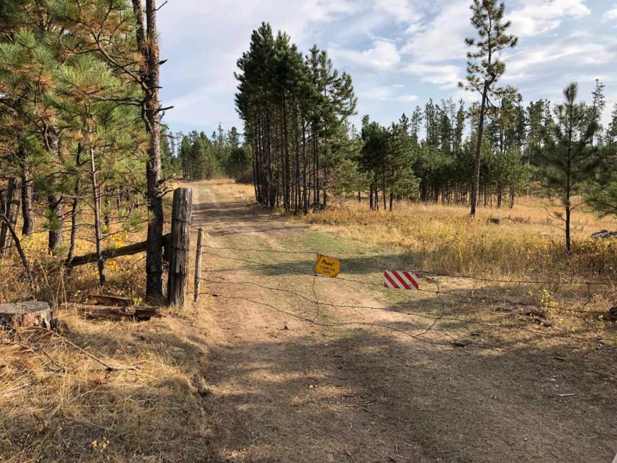 White House Gulch FS RD 477 photo 4