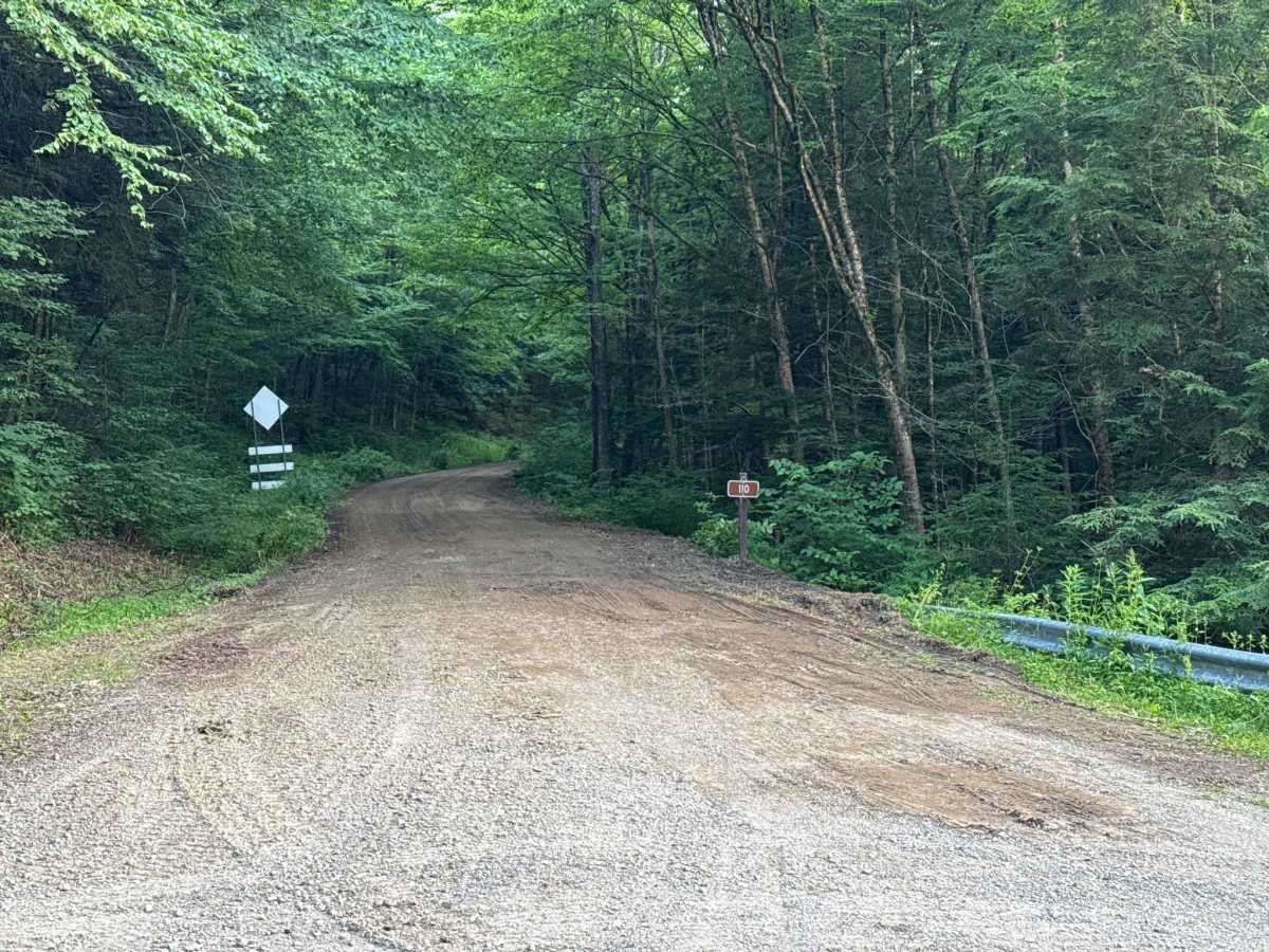 Gibbs Hill - FS 110 trail photo