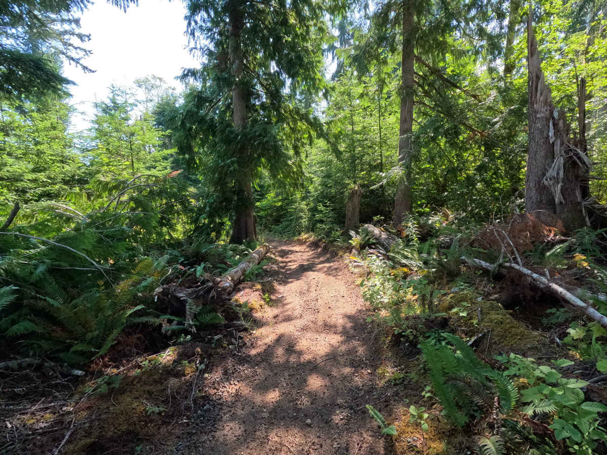 Sadie Creek Trail photo 6