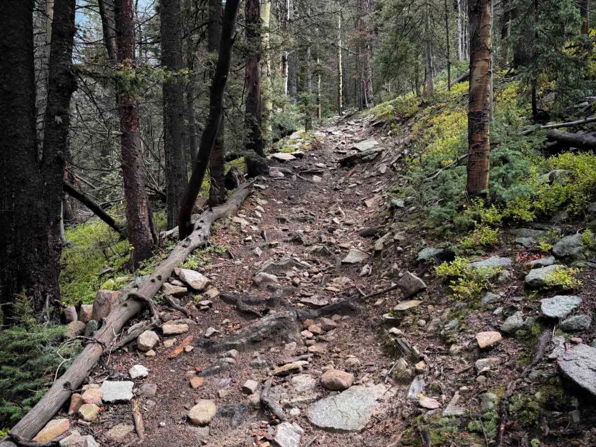 Trail 22A  photo 2