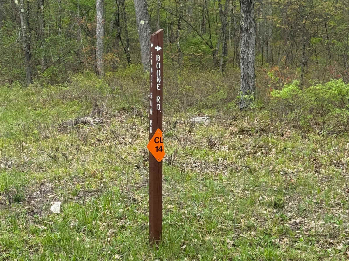 Boone Road trail photo