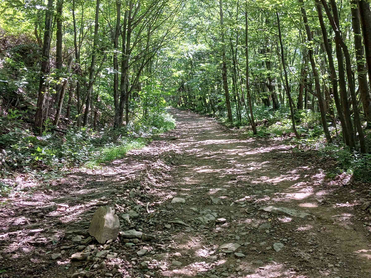 Holtz Hill Road - Rock Run Recreation Area photo 4