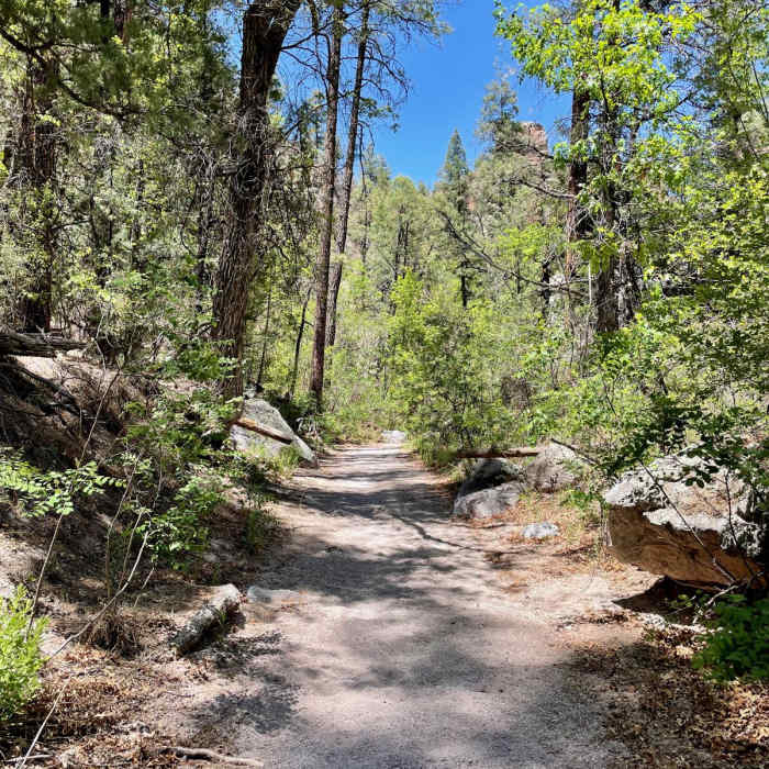 Near Little Bear Canyon Hike