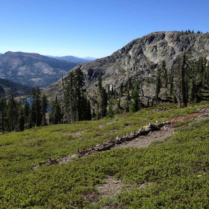 Near Grouse Ridge Trail