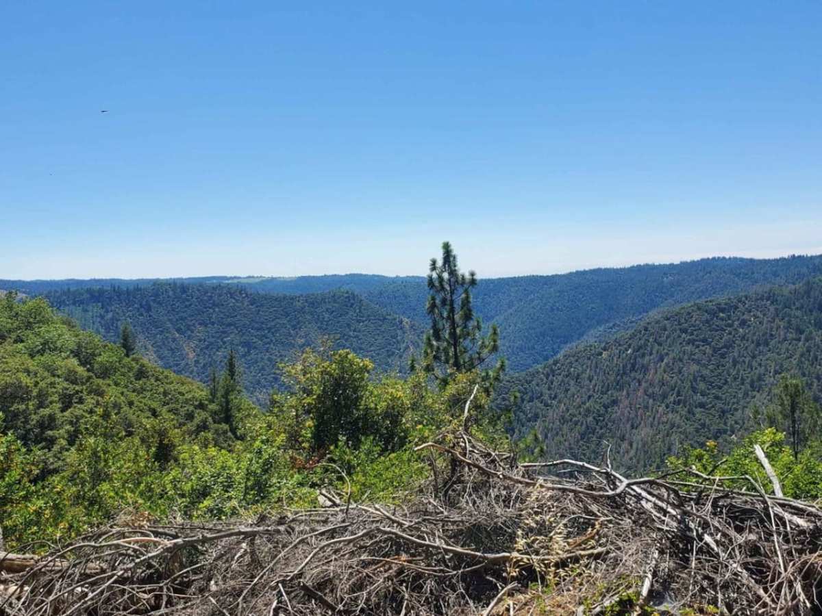 Volcanoville trail photo