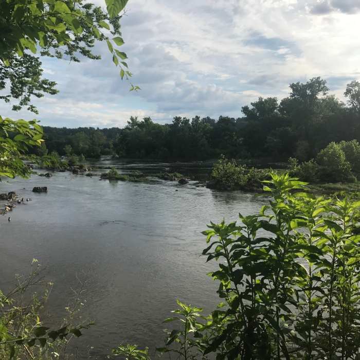 Near Potomac Heritage Trail: Riverbend Park