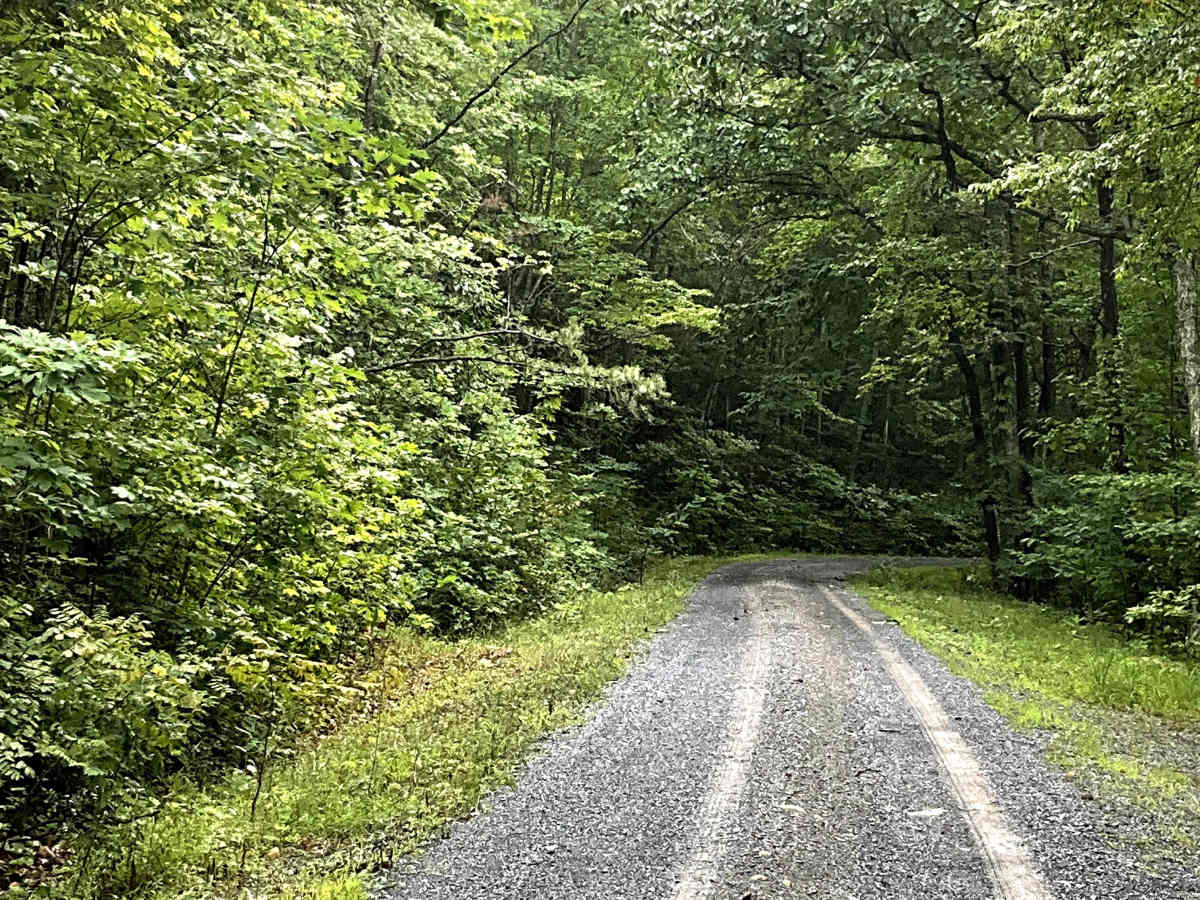 Top Road trail photo