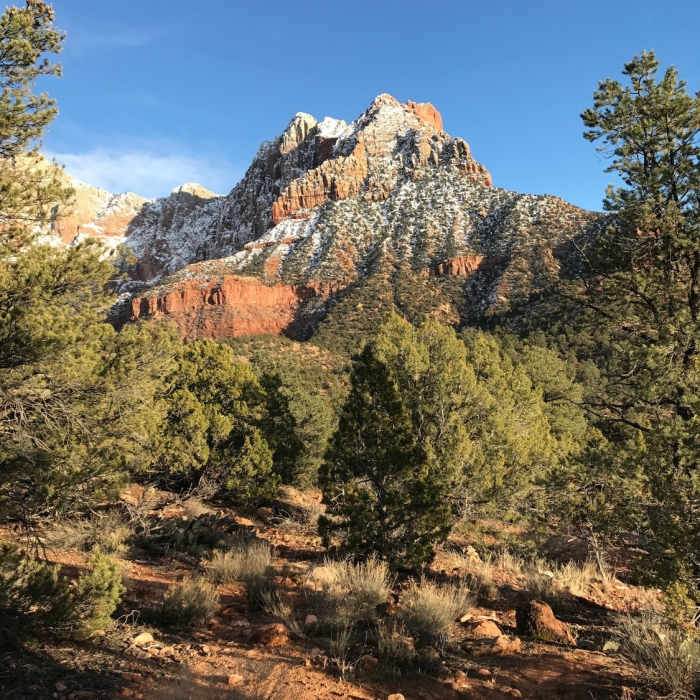Near Chinle Trail