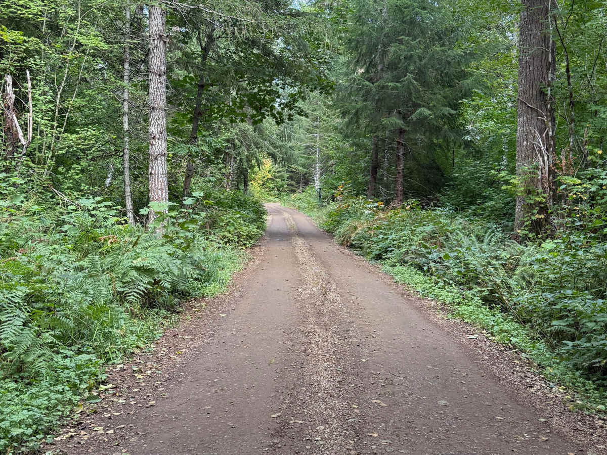 DRN Road 1240 trail photo