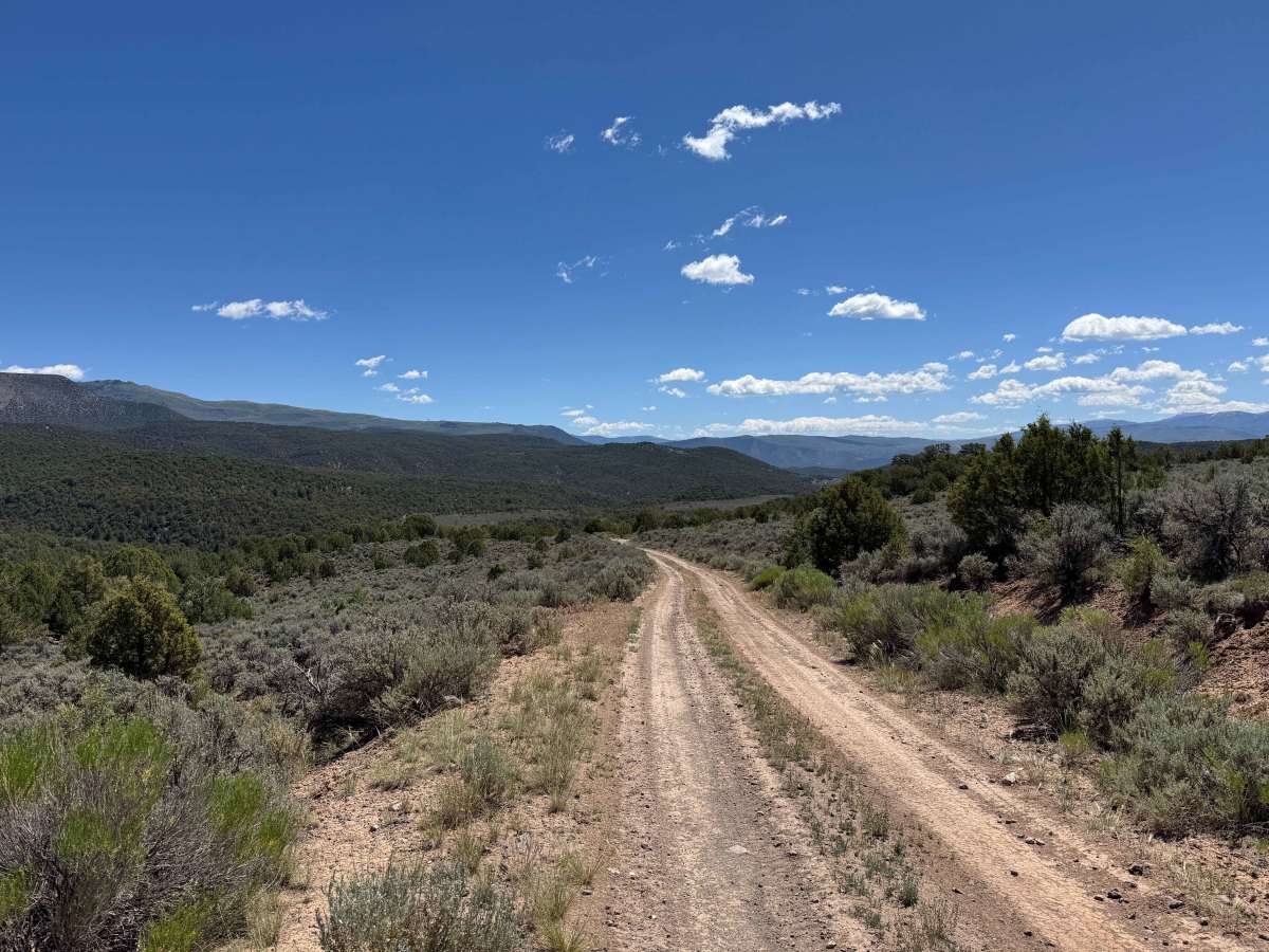 BLM 8480 photo 3