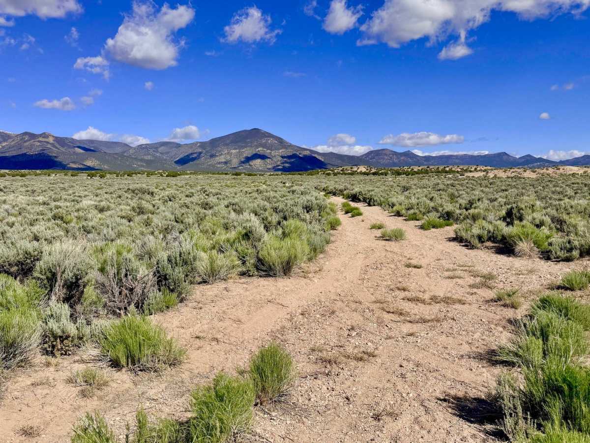Anderson Field Road - FS 44811 photo 4
