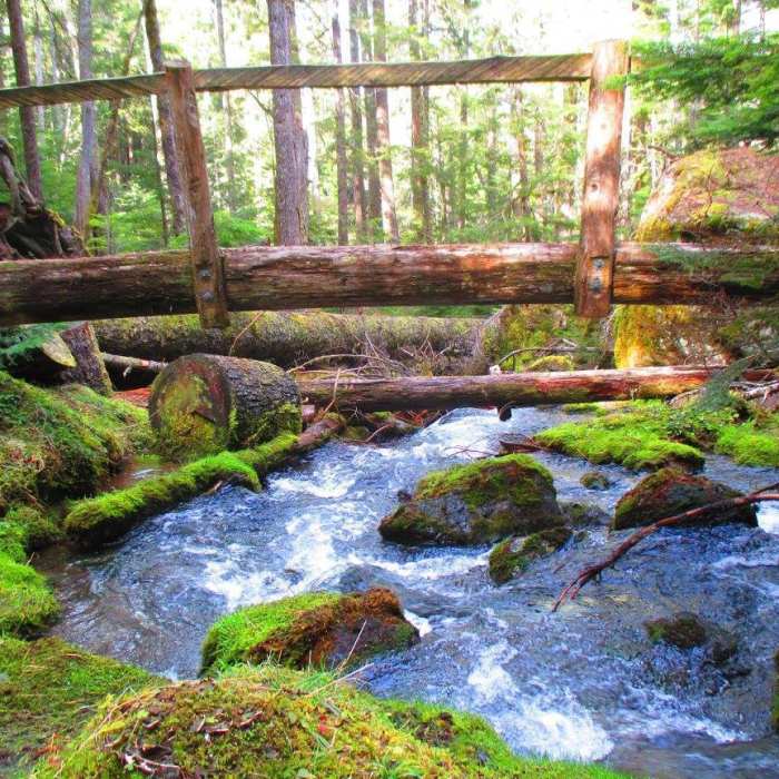 Near Lake Angeles - Heather Park Loop