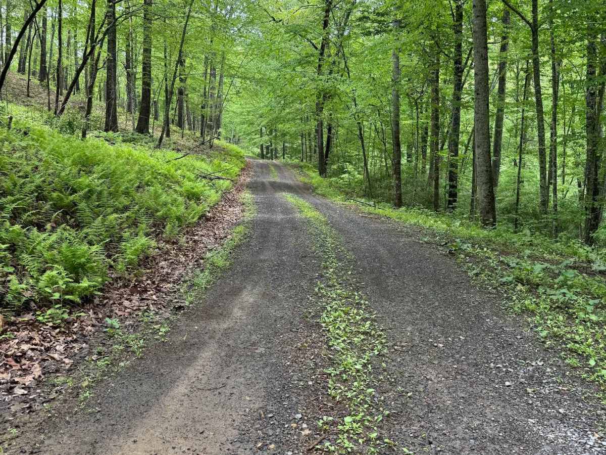 Hidden Valley Road trail photo