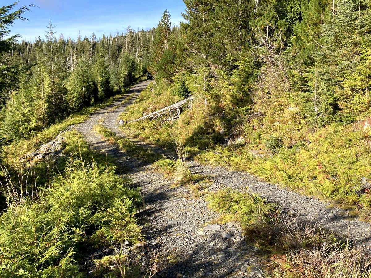 3013150 Road trail photo