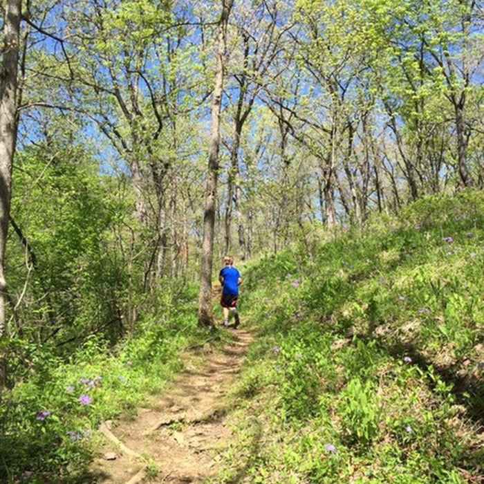 Hawk's Nest Trail Near Knob Noster Trails