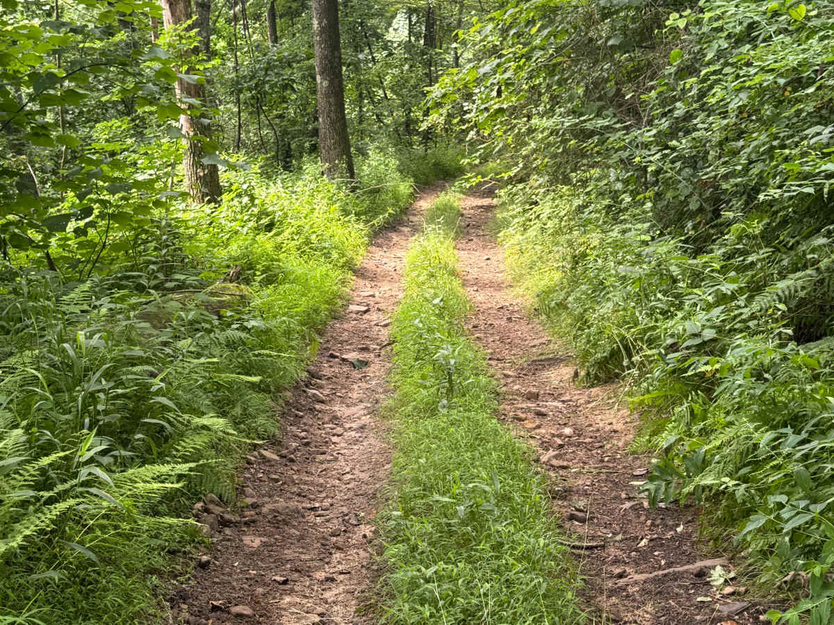 Trail 74 photo 2