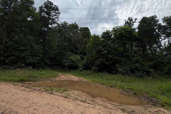 Ozark Beauty Trail